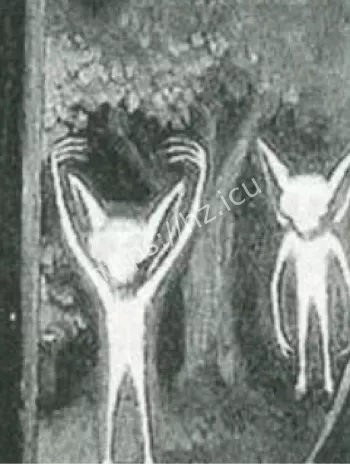 凯利霍普金斯维尔