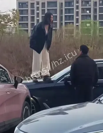 女司机站车顶砸车